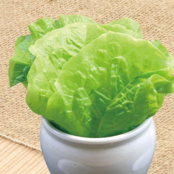 ���������꡼ No.003�Υ���ͥ������ / �����BASARA�פȡְ³���ץ������2�ơ������򿩤٤ƥ��å���������褦