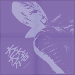 ꡼ No.029 | BASARAסǿåʤTGS2011