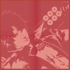 ꡼ No.031 | BASARAסǿåʤTGS2011