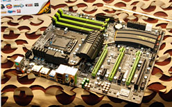 ꡼ No.006 | ֥ޡΤ˳ȯסGIGABYTEG1-KillerפǥޡޥܡɻԾػ