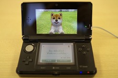 ꡼ No.085 | ΤäȤΡȢ򳫤說說פϰ۾Ȥ櫓ǡ֥˥ƥɡ3DSפ򤵤äƤߤ