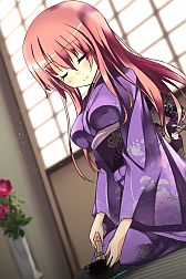 ꡼ No.009Υͥ / ͵ͥ¿äSLG֤󡪡סGREEǥӥ