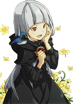 ꡼ No.013Υͥ / ȯ֥ǥ른㡼ס3DSǤαѤ2ƥȥ쥤顼θǤ41ۿ