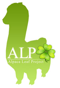 ꡼ No.013Υͥ / Finding Neverland Online --פΥɦ¥ƥ罸ȡ4GamerɼȤ3000̾ʬѰ