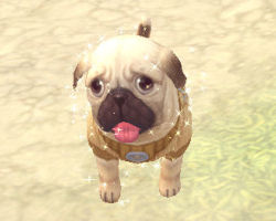 ꡼ No.038 | PRۥɤϡֲİס֤䤵סֳڤס饤RPGFinding Neverland Online --פνʡžƥפǡޤޤʥ֤ڤ⤦