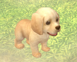 ꡼ No.039 | PRۥɤϡֲİס֤䤵סֳڤס饤RPGFinding Neverland Online --פνʡžƥפǡޤޤʥ֤ڤ⤦