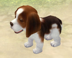 ꡼ No.040 | PRۥɤϡֲİס֤䤵סֳڤס饤RPGFinding Neverland Online --פνʡžƥפǡޤޤʥ֤ڤ⤦