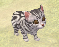 ꡼ No.041 | PRۥɤϡֲİס֤䤵סֳڤס饤RPGFinding Neverland Online --פνʡžƥפǡޤޤʥ֤ڤ⤦