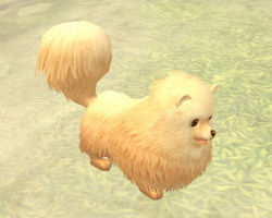 ꡼ No.042 | PRۥɤϡֲİס֤䤵סֳڤס饤RPGFinding Neverland Online --פνʡžƥפǡޤޤʥ֤ڤ⤦