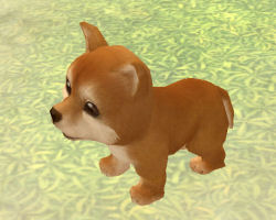 ꡼ No.043 | PRۥɤϡֲİס֤䤵סֳڤס饤RPGFinding Neverland Online --פνʡžƥפǡޤޤʥ֤ڤ⤦