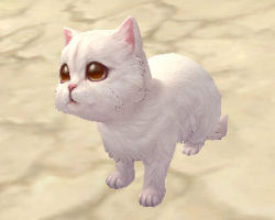 ꡼ No.044 | PRۥɤϡֲİס֤䤵סֳڤס饤RPGFinding Neverland Online --פνʡžƥפǡޤޤʥ֤ڤ⤦