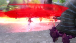 ꡼ No.028 | Finding Neverland Online --ץɦ¥ƥλȤ硣3Ȥ줾Υࡼӡ