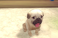 ꡼ No.007 | PRۤ줬֥ե꡼̥ϤMMORPGFinding Neverland Online --פʤ顤ΤѻդˤȤ뿦Ȥ򵤷ڤ˳ڤ