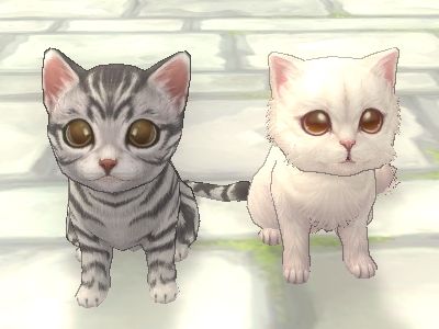 ꡼ No.002Υͥ / Finding Neverland OnlineסΥޥåפᤰGvGפ630˼ǭơޤˤָꥢƥ