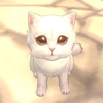 ꡼ No.003Υͥ / Finding Neverland OnlineסΥޥåפᤰGvGפ630˼ǭơޤˤָꥢƥ