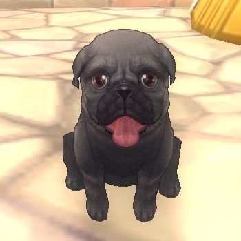 ���������꡼ No.001�Υ���ͥ������ / ��Finding Neverland Online�ס�����MMORPG��Magic World Begins��CBT����Ԥˡ֤դ����ʥѥ��פ�ץ쥼���