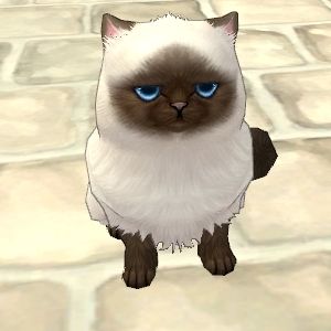 ���������꡼ No.004�Υ���ͥ������ / ��Finding Neverland Online�ס��������ҥޥ����BOX��10��13��ȯ��