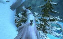 ꡼ No.027 | PRۿ²ȿ֤ǿŸ褦Finding Neverland Online --緿åץǡȡ礤ʤ뱿̿λϤޤ