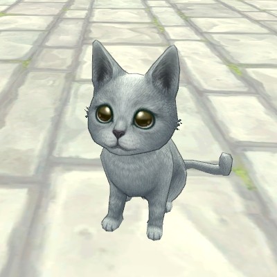 ���������꡼ No.001�Υ���ͥ������ / ��Finding Neverland Online�ס��ȥ�����������BOX�ɤʤɤ�12��8�����о�