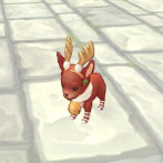 ꡼ No.038Υͥ / FNO2011ǯ1215˥åץǡȤ»ܡ٥󥸥֥ҥå󥸡פо졣ƥ٥Ȥ䥭ڡξ碌Ƹ