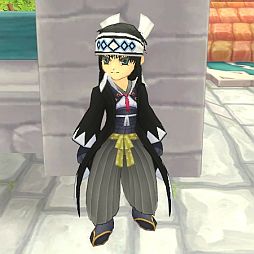 ���������꡼ No.015�Υ���ͥ������ / ��FNO�ץ���������ʷ�ϵ������书���α������䳫�ϡ���������������о�