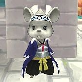 ���������꡼ No.017�Υ���ͥ������ / ��FNO�ץ���������ʷ�ϵ������书���α������䳫�ϡ���������������о�