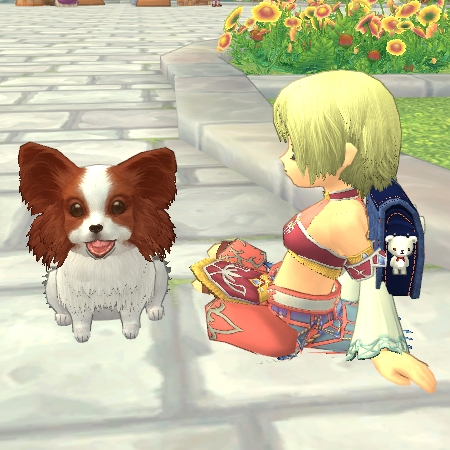 ���������꡼ No.009�Υ���ͥ������ / ��FNO�ס���ϣ��ѻե��ץ���פ�֥ѥԥ�󥫥ץ���פ����ָ���Ǻ��γ���