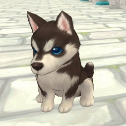 ���������꡼ No.002�Υ���ͥ������ / ��FNO�ס��ڥåȡ֥ϥ������פ����������ָ��ꥢ���ƥ�ʤɤ�����