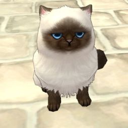 ���������꡼ No.003�Υ���ͥ������ / ��FNO�ץ����ƥ�⡼��ˡ֥ҥޥ���BOX�פ���˶�����BOX�פʤɤ����о�