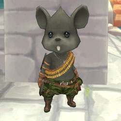 画像ギャラリー No.008のサムネイル画像 / 「FNO」ベレー帽カプセルやレディスアーミーCPなどの販売を本日開始