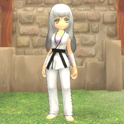 画像ギャラリー No.003のサムネイル画像 / 「FNO」モールに「女空手着BOX」「男空手着BOX」が再登場。12月6日まで