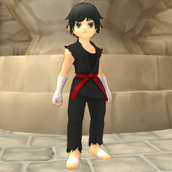 画像ギャラリー No.005のサムネイル画像 / 「FNO」モールに「女空手着BOX」「男空手着BOX」が再登場。12月6日まで