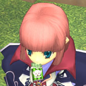 ���������꡼ No.011�Υ���ͥ������ / ��FNO�ץ쥢�����ƥ������Ǥ���ָ����徽��פΥ饤��ʥåפ�24���˹���