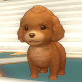 画像ギャラリー No.001のサムネイル画像 / 「FNO」,フェブラリーアップデートの実施日が2月21日に決定