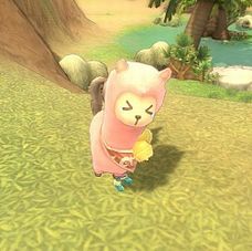 ꡼ No.011Υͥ / FNOפǯβƤ˥˥塼롣֥ʥ롦ȥ饹 -The Refined FNO-פȤƿ˥