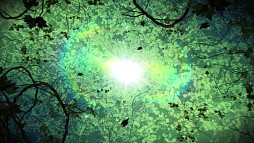 ꡼ No.003Υͥ / FNOסߥȤǡ֥ʥ롦ȥ饹פΥץ⡼ࡼӡ