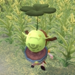 ���������꡼ No.004�Υ���ͥ������ / �֥������ʥ롦���ȥ饹����˾�ο�����֡�����Ρɤ��о줹���緿���åץǡ��ȡ��������Ӭ���꡽�פ�������������ǰ�����ڡ������ָ��ꥢ���ƥ������ʤɤ�»���