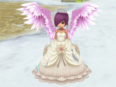 ꡼ No.013 | ܥä֤ˤǤ롣֤ͥONLINEפΥץ󥵡ӥϤ˹碌ȼǤޤȤƾҲ𡣤νϥХå