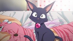 ꡼ No.011Υͥ / 饤RPG鿴ԤοϤ٤ȼѤ֤ۡͥONLINEץץǥ塼ƣ˺ŸȰյߤʹ