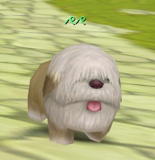 ꡼ No.004 | ֤ͥONLINEסꥯ󤬼֤ʤڥڡץ٥ȼ»