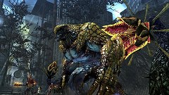 ꡼ No.012 | MAX ANARCHYסȯ2012ǯ1ѹȡ꡼ѤΰȽо쥭饯4ͤ³ 