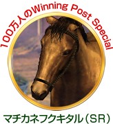 ꡼ No.003 | 100ͤοĹ˾פʤɡƥ9ʤǯǯϥڡ