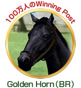 ꡼ No.004 | 100ͤοĹ˾פʤɡƥ9ʤǯǯϥڡ