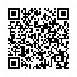 ꡼ No.004Υͥ / ȥϥҡɤʤɤ򽸤ȥ쥸㡼֥ץ꡼ͭϿ