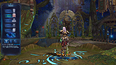 ꡼ No.009 | MMORPGForsaken WorldפΥ饯ᥤ󥰥Ͽ꡼󥷥åȤӥࡼӡ