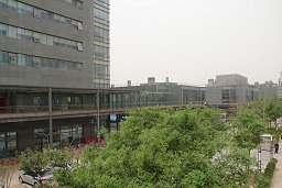 ꡼ No.021Υͥ / 2ơForsaken World׳ȯåդʹ桼ƳMMORPGλѤŸ