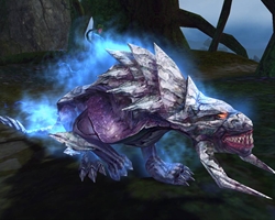 ꡼ No.005 | Forsaken WorldץåץǡȡBattle ArenaפǤϼҸ򤫿뤬о