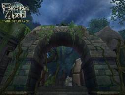 ꡼ No.014 | Forsaken World׼åץǡȤߥȤǥ꡼󥷥åȤ