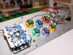 ꡼ No.012 | AOU2012ϥɥե󤬽뤷夬򸫤AOU2012ǸĤäȵˤʤΤޤȤƾҲ