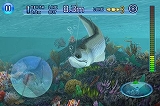 Fishing Kings HD